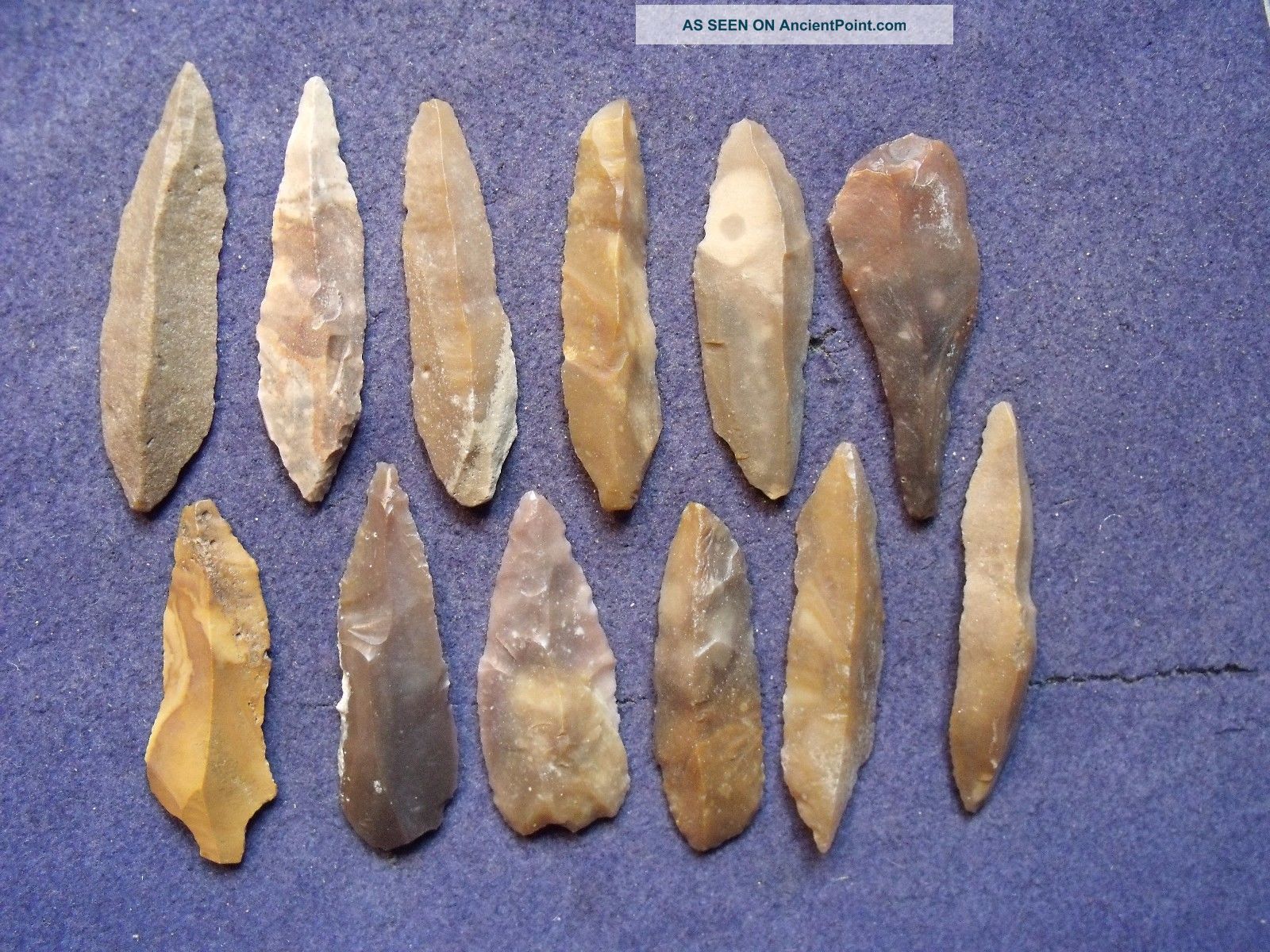 12 Good Unifacial Blades From The Sahara Mesolithic Period Neolithic & Paleolithic photo