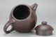 Chinese Yixing Handmade Xishi Hu Tea Pot Zisha Purple Clay Teapot Vases photo 6