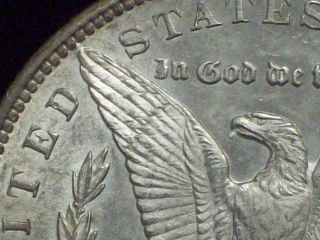 1891 Cc Spitting Eagle Morgan Dollar Silver Vam - 3 Top 100 Authentic Uncirculated photo