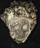 Omg Large Crystal Skull Carved In Crystal Stone Other Antiquities photo 1