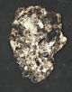 Omg Large Crystal Skull Carved In Crystal Stone Other Antiquities photo 5
