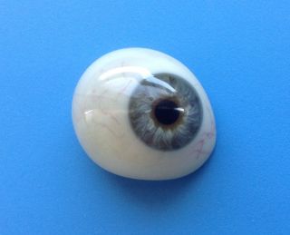 Vintage Antique Human Prosthetic Glass Eye Medical photo