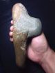 Taino Stone Hand Axe,  Rare The Americas photo 1
