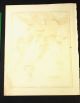 Orig Antique Map 1827 Africa - Unexplored Regions Many Defunct Countries,  Finley Pre-1900 photo 9