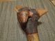 Penobscot American Indian Carved Birch Wood Root War Club Buffalo Native American photo 11