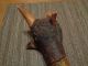 Penobscot American Indian Carved Birch Wood Root War Club Buffalo Native American photo 6