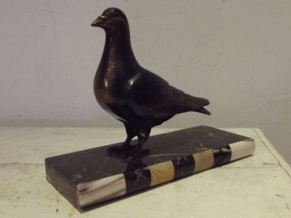 Antique French Statue Sculpture Animal Dove Pigeon Black Marble Art Déco Vintage photo