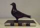 Antique French Statue Sculpture Animal Dove Pigeon Black Marble Art Déco Vintage Art Deco photo 1