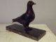 Antique French Statue Sculpture Animal Dove Pigeon Black Marble Art Déco Vintage Art Deco photo 4