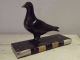 Antique French Statue Sculpture Animal Dove Pigeon Black Marble Art Déco Vintage Art Deco photo 7