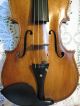 Old Italian Lableded Violin 1 Piece Back 4/4 W/bow & Case Nr String photo 3