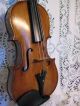 Old Italian Lableded Violin 1 Piece Back 4/4 W/bow & Case Nr String photo 6