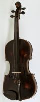 Old Master Violin M.  Stainer Geige Violon Violino Violine Viola Fiddle Lion Head String photo 1