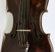 Old Master Violin M.  Stainer Geige Violon Violino Violine Viola Fiddle Lion Head String photo 4