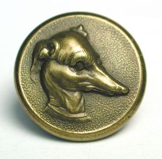 Antique Brass Sporting Button Sitting Greyhound - Whippet Dog Head Design photo