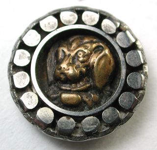 Antique Steel Cup Button Saint Bernard Dog Design photo