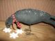 Primitive Olde Winter Crow Christmas Holiday Ornie Cupboard Decor Primitives photo 1