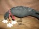 Primitive Olde Winter Crow Christmas Holiday Ornie Cupboard Decor Primitives photo 1