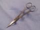 S Maw Antique Victorian Steel Scissors Medical Doctors Surgical Tool Other Medical Antiques photo 1