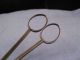 S Maw Antique Victorian Steel Scissors Medical Doctors Surgical Tool Other Medical Antiques photo 3