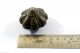 19c Antique Rare Heavy Solid Bronze Collectible Unique Opium Scales Weight.  I72 - 7 Scales photo 4