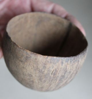 Simple But Rare: Samoan Coconut Kawa Cup Ex Collect.  H.  Schmidtgen,  Stuttgart photo