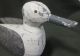 Wood Duck - Hand Carved - Body Is Wood Painted White - Wings Are Tin - Dowel Nos Primitives photo 5
