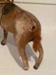 19th Century German Real Hide Glass Eyes Toy Horse Primitives photo 2