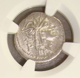 91 Bc D.  Silanus L.  F.  Ancient Roman Republic Silver Denarius Ngc Xf photo
