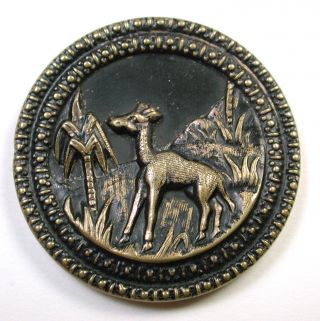 Antique Button Lg Size Baby Giraffe In African Setting 1 & 5/8 Inch photo