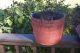 Primitive Early Old Wood Sap Bucket W/ Dry Red Paint Primitives photo 2