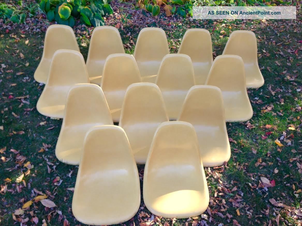 Herman Miller Eames Shell Chairs Fiberglass Yellow Gold Chair Hm Mid Century Mod Mid-Century Modernism photo