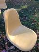 Herman Miller Eames Shell Chairs Fiberglass Yellow Gold Chair Hm Mid Century Mod Mid-Century Modernism photo 8