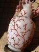 Victorian Era Coralite Vase Converted To Lamp Bakelite Finial Lamps photo 5
