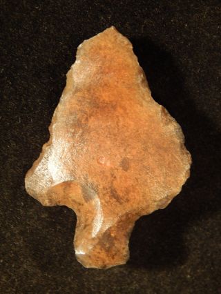 A Stemmed Aterian Arifact Around 55,  000 - 12,  000 Years Old Algeria 5.  63 photo