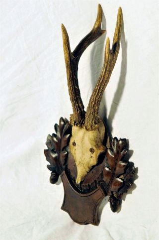French Black Forest Roe Deer Horns Antlers Hunting Hand Carved Architectural photo