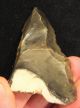 Mousterian Levallois Trihedral Point,  Found Kent A845 Neolithic & Paleolithic photo 3