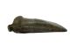 Eastern Celts,  Danube Region,  Middle Bronze Age,  Hollow Axehead,  Top Quality, Roman photo 4