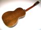 Antique Vintage 1925 Lyon And Healy Lakeside Parlor Guitar With Case String photo 1