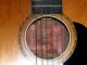 Antique Vintage 1925 Lyon And Healy Lakeside Parlor Guitar With Case String photo 4