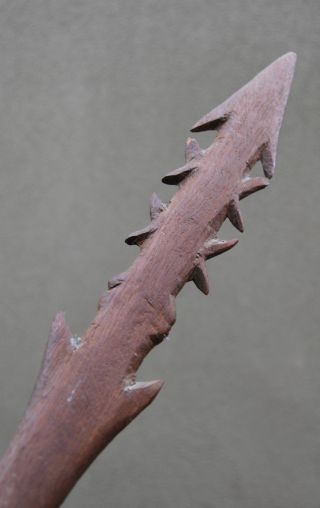 Old Aboriginal Barbed Spear photo