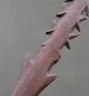 Old Aboriginal Barbed Spear Pacific Islands & Oceania photo 2