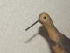 American Folk Art Hand Carved Shorebird Decoy Paint On Driftwood,  Signed Primitives photo 6