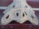 Very Ornate Old Cast Iron Oil Lamp Base Lamps photo 6