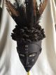 Yombe Witch Doctor Mask With Vulture Feathers Authentic Congo Palo Mayombe Sculptures & Statues photo 1