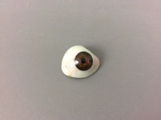 Antique Handmade Prosthetic Eye Human Glass Eye Dark Brown Off White Steampunk photo
