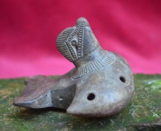 Pre Columbian Whistle In The Shape Of A Bird,  Tairona Culture Columbia photo