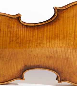 Astonishing Old Violin G.  Pedrazzini 1927 Geige Violon Violine Violino Viola photo