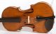 Astonishing Old Violin G.  Pedrazzini 1927 Geige Violon Violine Violino Viola String photo 2