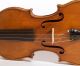 Astonishing Old Violin G.  Pedrazzini 1927 Geige Violon Violine Violino Viola String photo 3